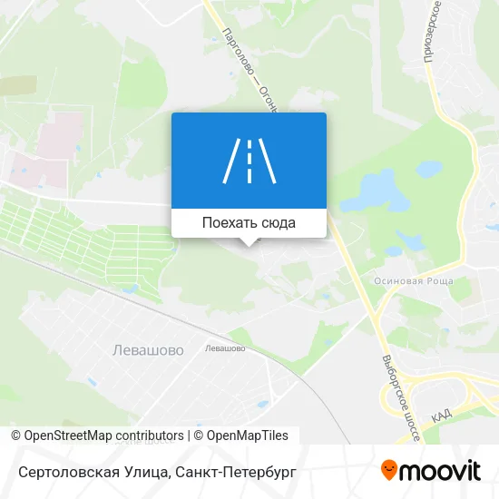 Карта Сертоловская Улица