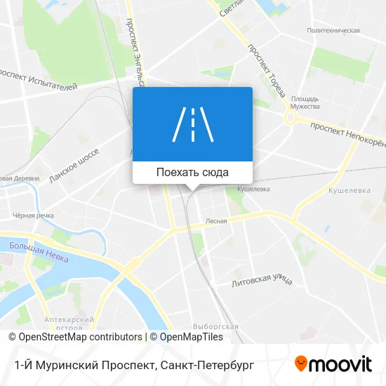 Карта 1-Й Муринский Проспект