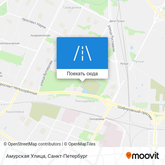 Карта Амурская Улица