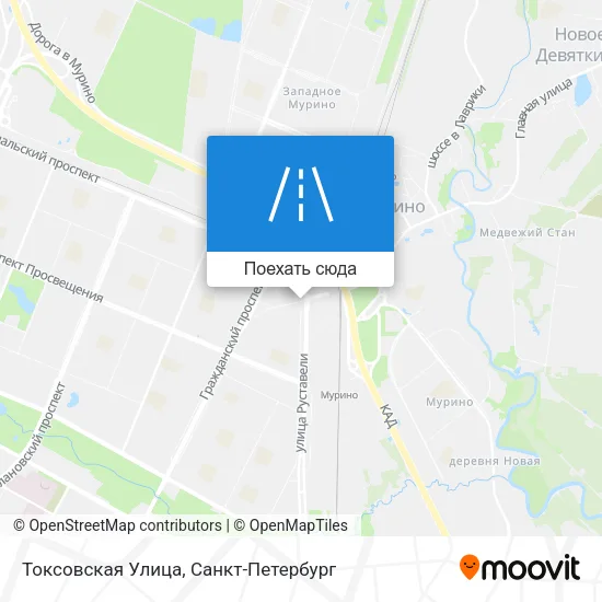 Карта Токсовская Улица