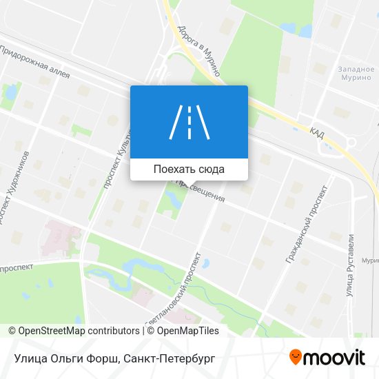 Карта Улица Ольги Форш