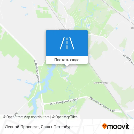 Карта Лесной Проспект