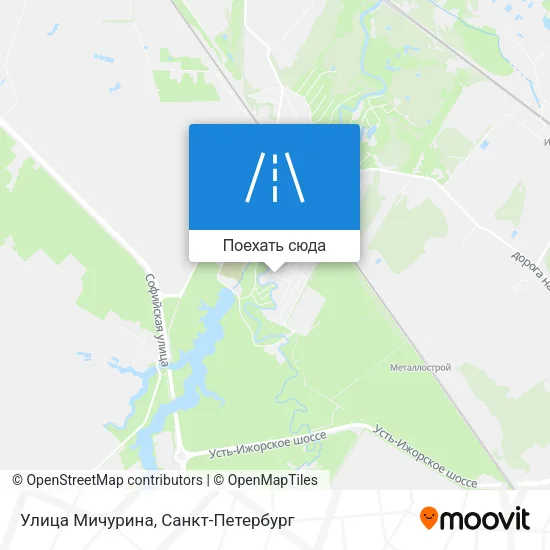 Карта Улица Мичурина