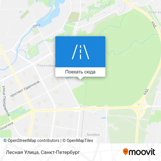 Карта Лесная Улица