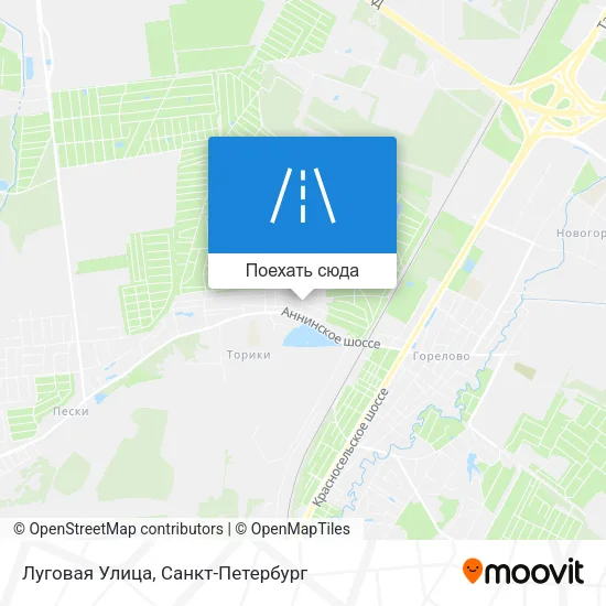Карта Луговая Улица