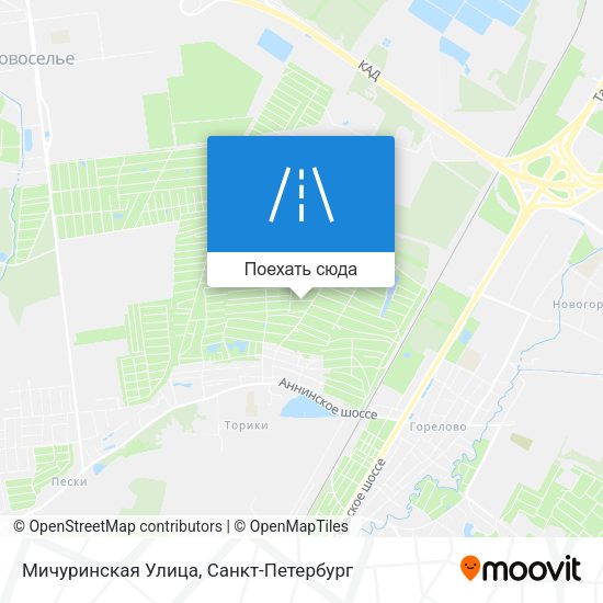 Карта Мичуринская Улица