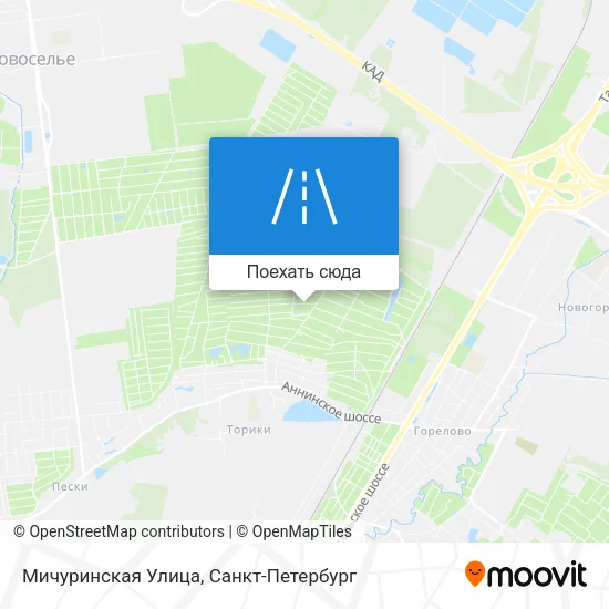 Карта Мичуринская Улица