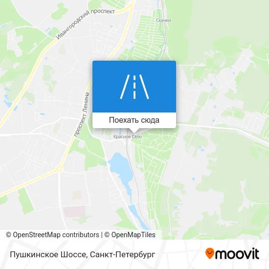 Карта Пушкинское Шоссе