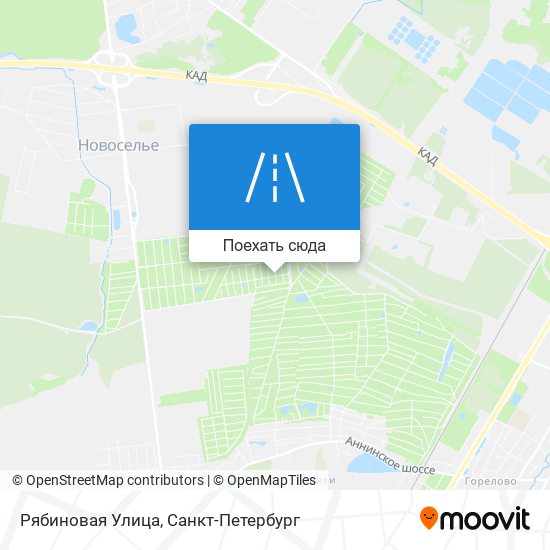 Карта Рябиновая Улица