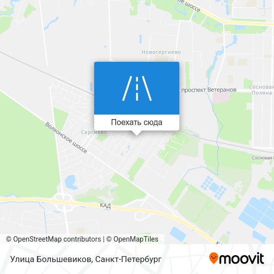 Карта Улица Большевиков