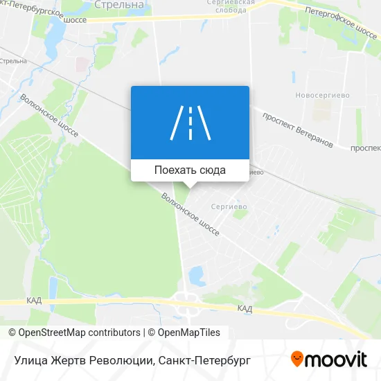 Карта Улица Жертв Революции