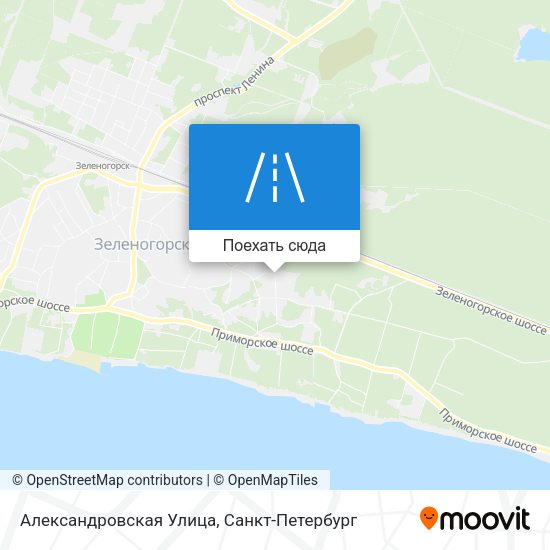 Карта Александровская Улица