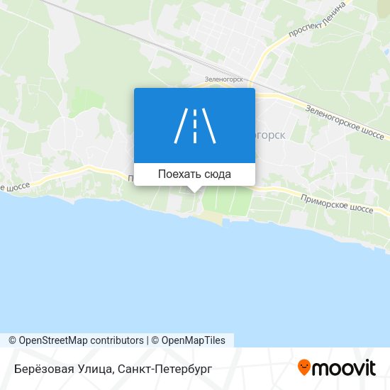 Карта Берёзовая Улица