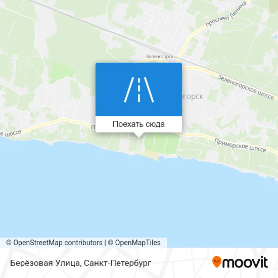 Карта Берёзовая Улица