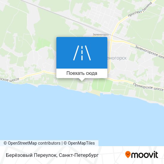 Карта Берёзовый Переулок