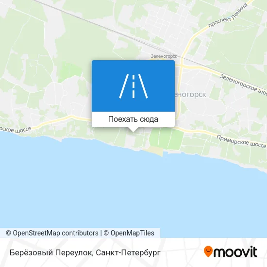 Карта Берёзовый Переулок