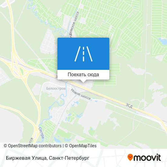 Карта Биржевая Улица