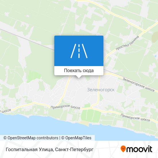 Карта Госпитальная Улица