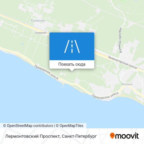 Карта Лермонтовский Проспект