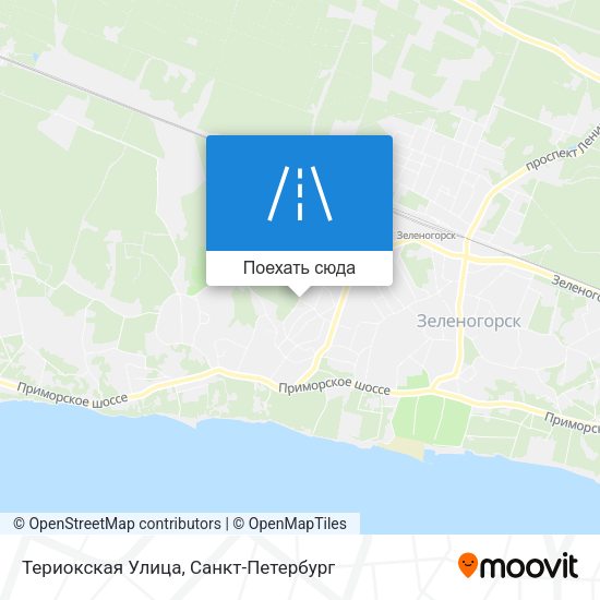 Карта Териокская Улица
