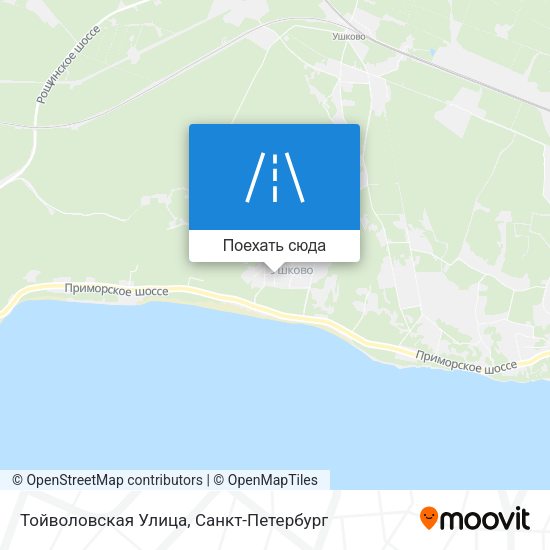 Карта Тойволовская Улица