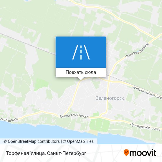 Карта Торфяная Улица