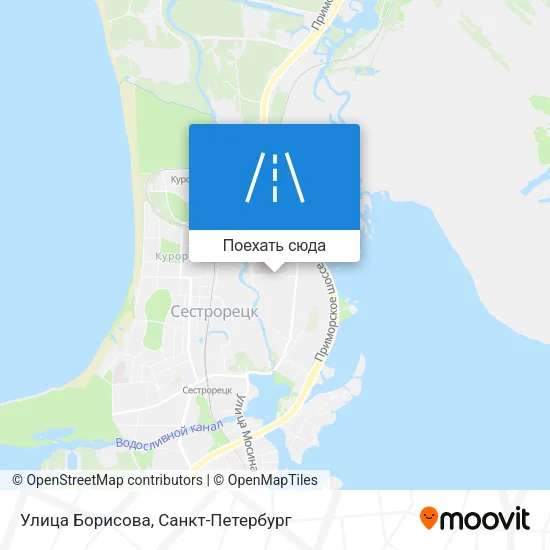 Карта Улица Борисова