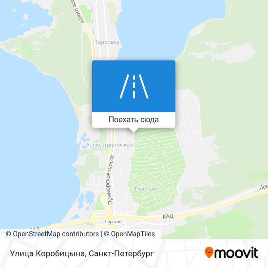 Карта Улица Коробицына