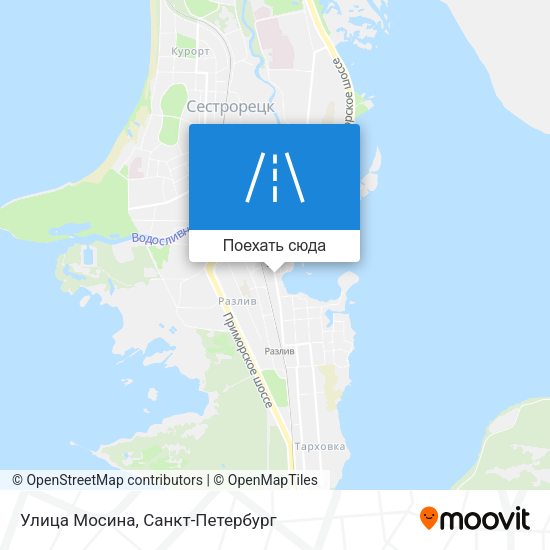 Карта Улица Мосина