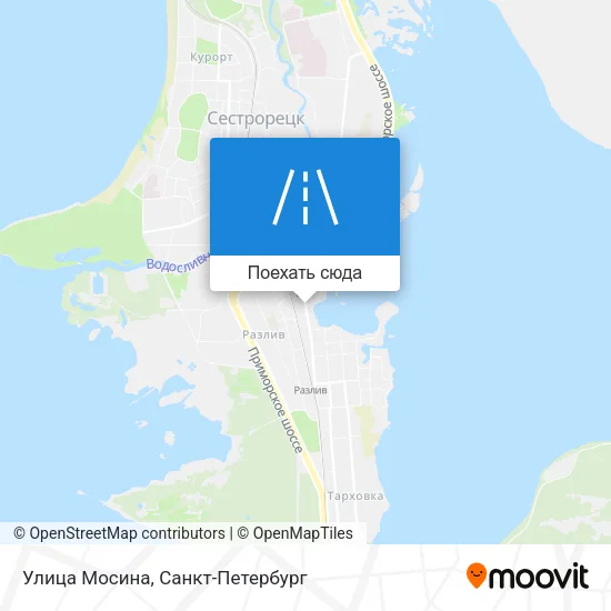 Карта Улица Мосина