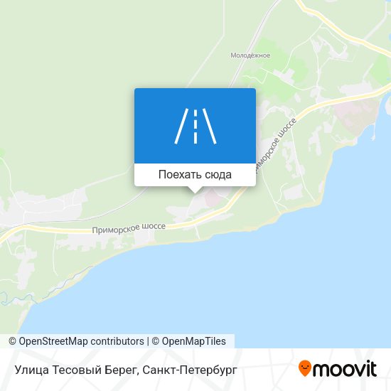 Карта Улица Тесовый Берег
