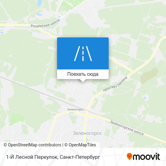 Карта 1-Й Лесной Переулок