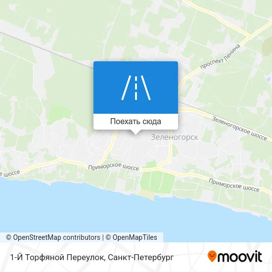 Карта 1-Й Торфяной Переулок