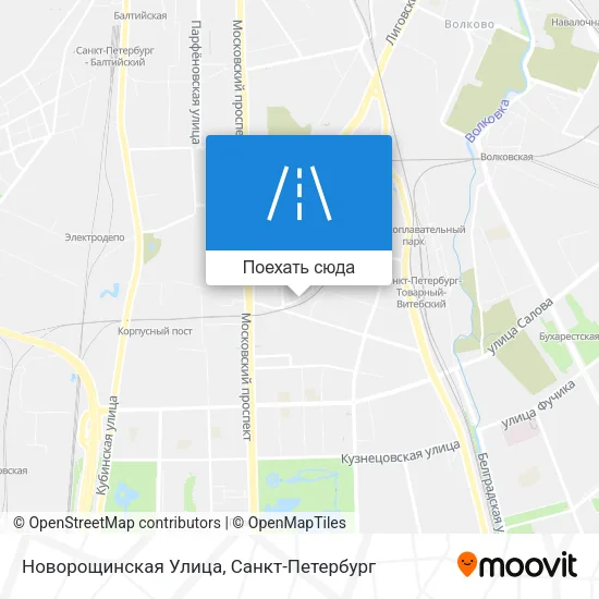 Карта Новорощинская Улица