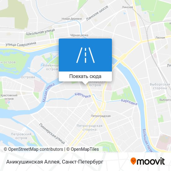Карта Аникушинская Аллея