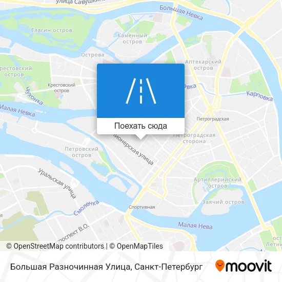 Карта Большая Разночинная Улица