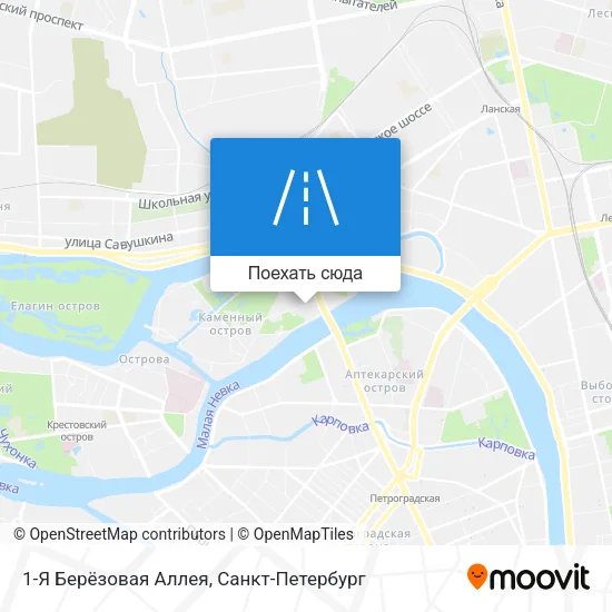 Карта 1-Я Берёзовая Аллея
