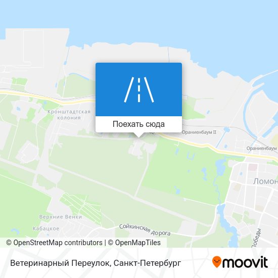 Карта Ветеринарный Переулок