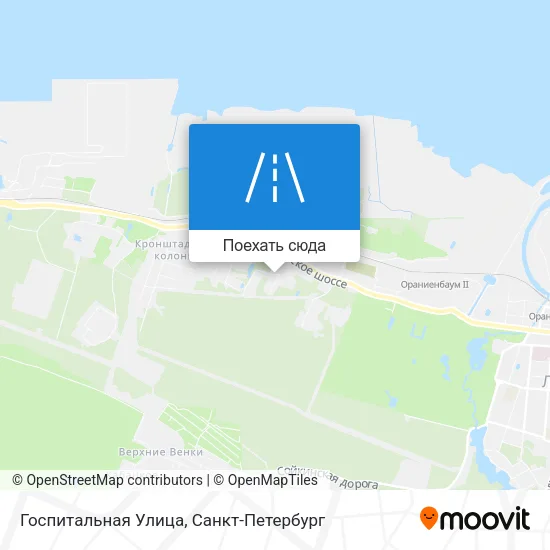 Карта Госпитальная Улица