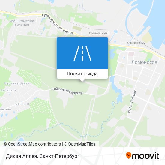 Карта Дикая Аллея