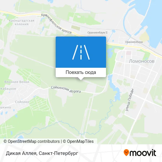 Карта Дикая Аллея