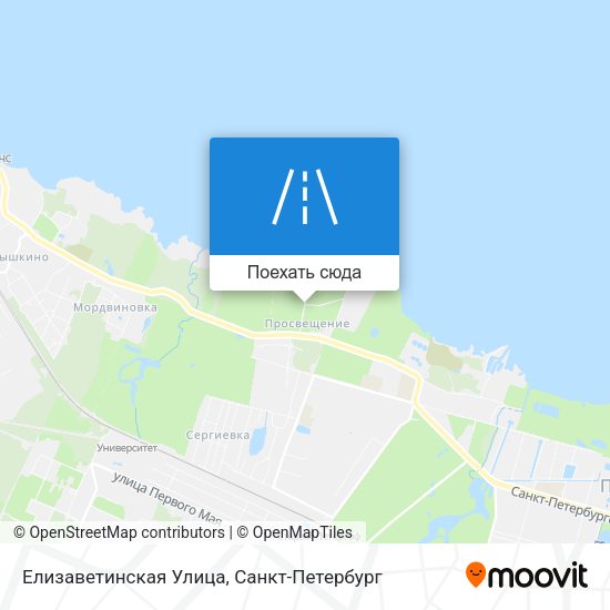 Карта Елизаветинская Улица