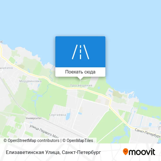 Карта Елизаветинская Улица