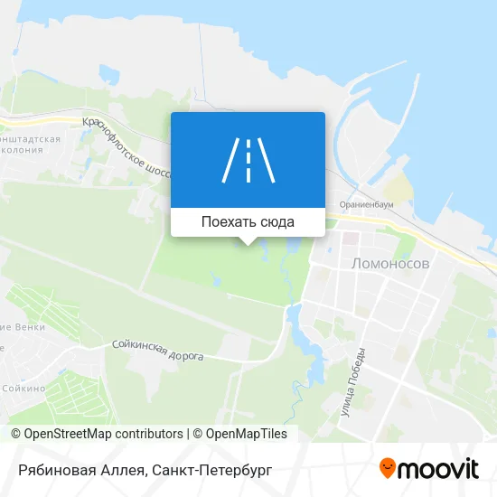 Карта Рябиновая Аллея