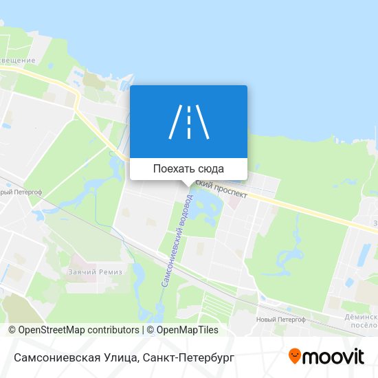 Карта Самсониевская Улица