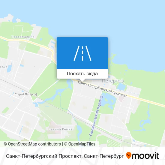 Карта Санкт-Петербургский Проспект