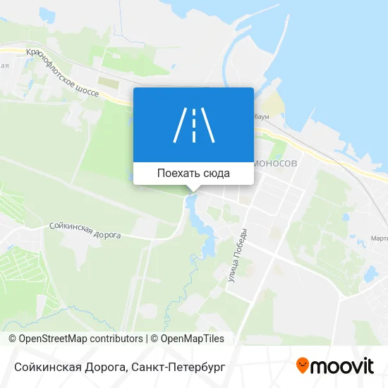 Карта Сойкинская Дорога