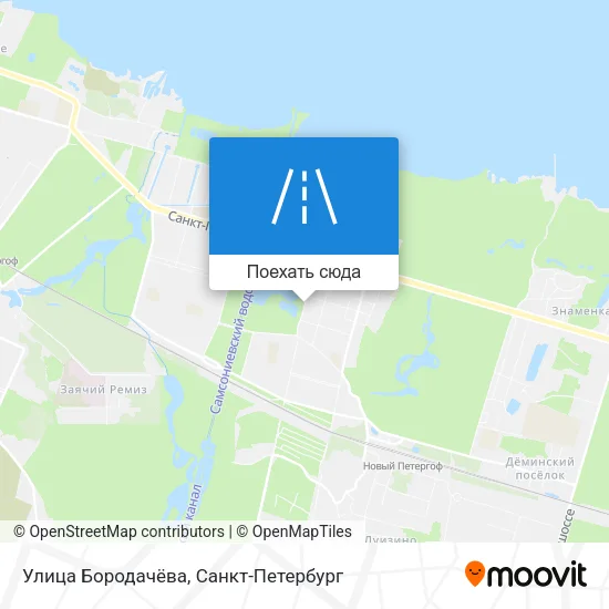 Карта Улица Бородачёва