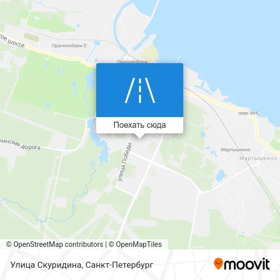 Карта Улица Скуридина