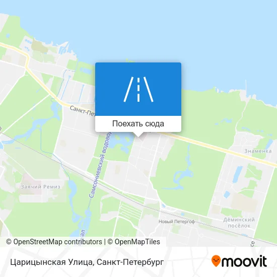 Карта Царицынская Улица
